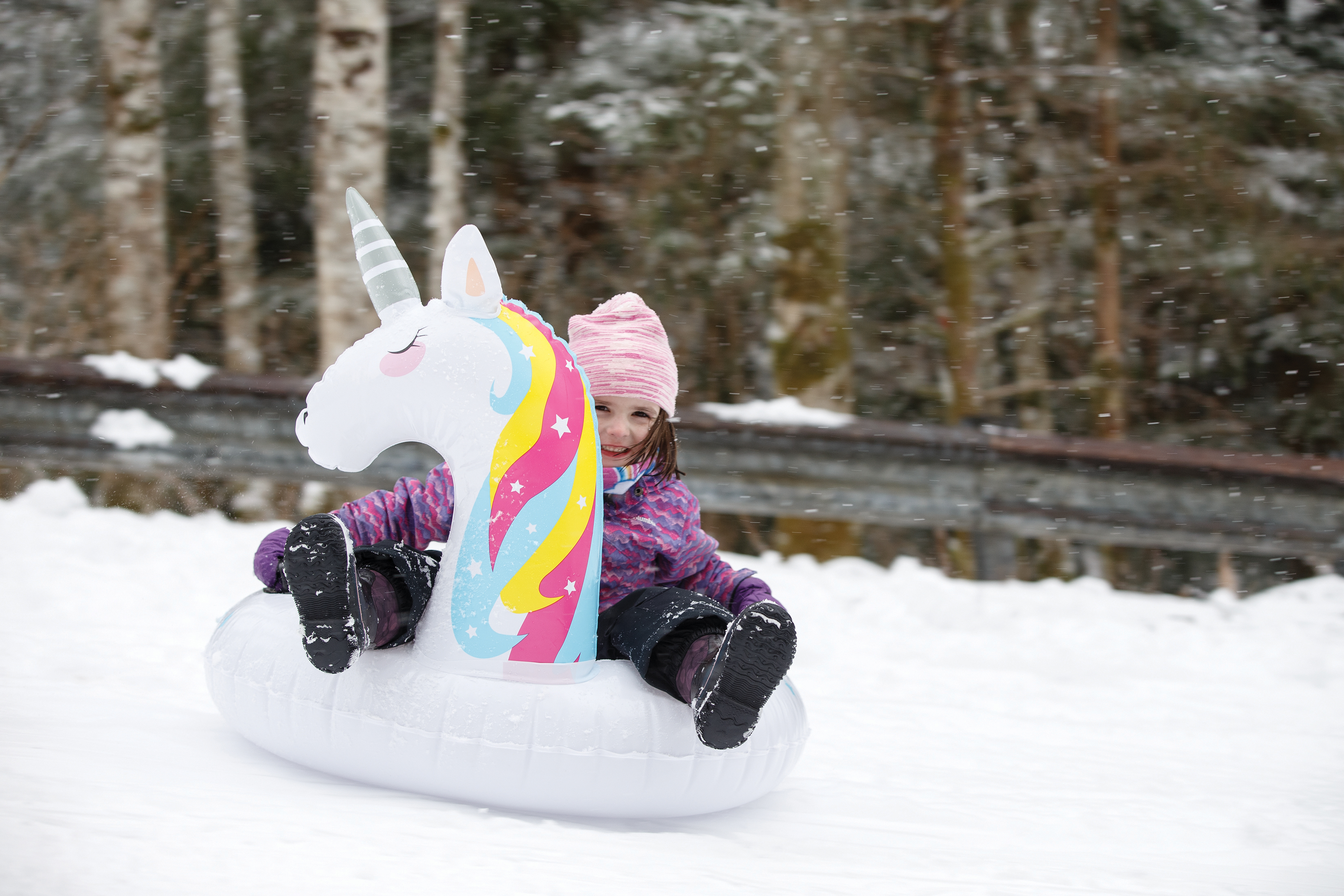 2023 02 25 Sledding Unicorn CMYK